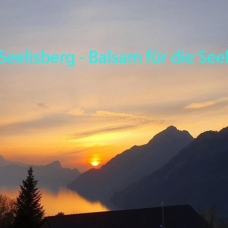 Appartement Seelewaermerli - Balsam Fuer Ihre Seele Seelisberg Ngoại thất bức ảnh