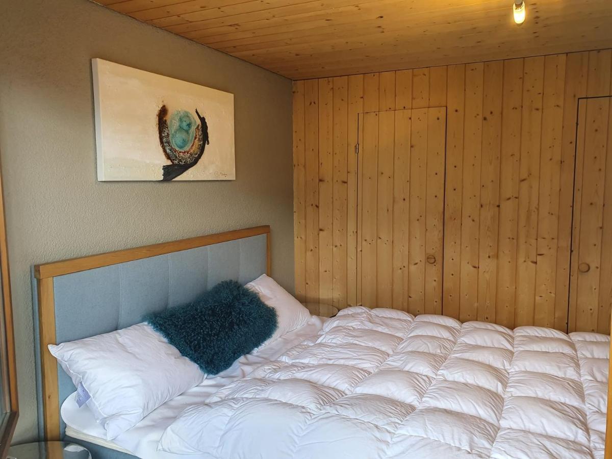 Appartement Seelewaermerli - Balsam Fuer Ihre Seele Seelisberg Ngoại thất bức ảnh