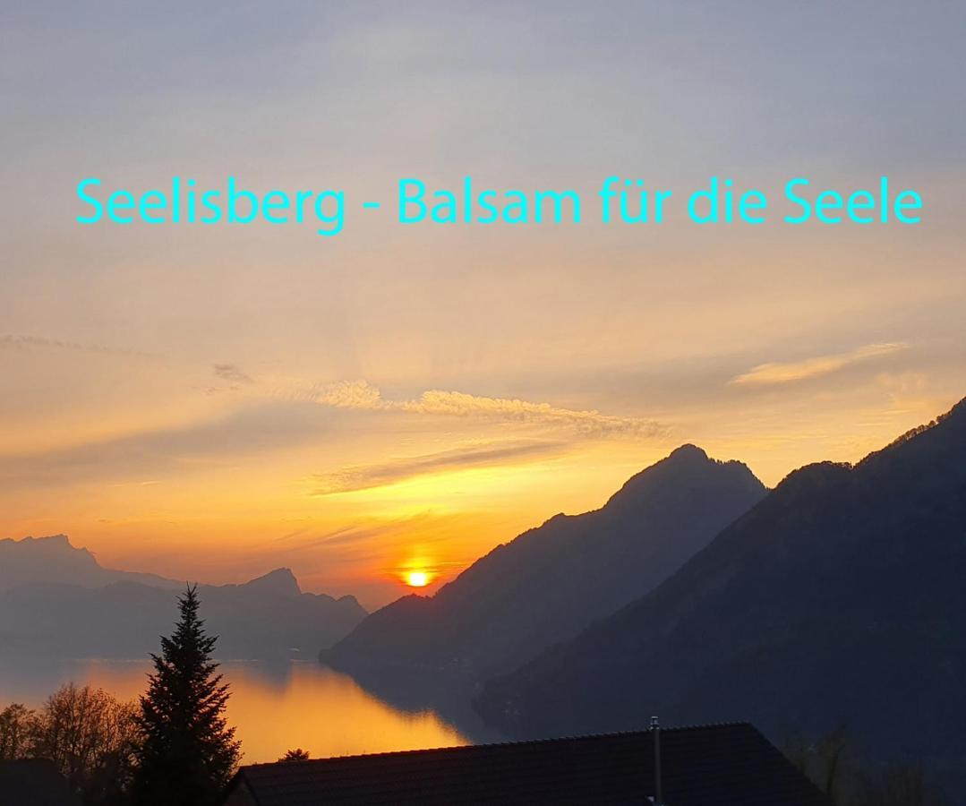 Appartement Seelewaermerli - Balsam Fuer Ihre Seele Seelisberg Ngoại thất bức ảnh
